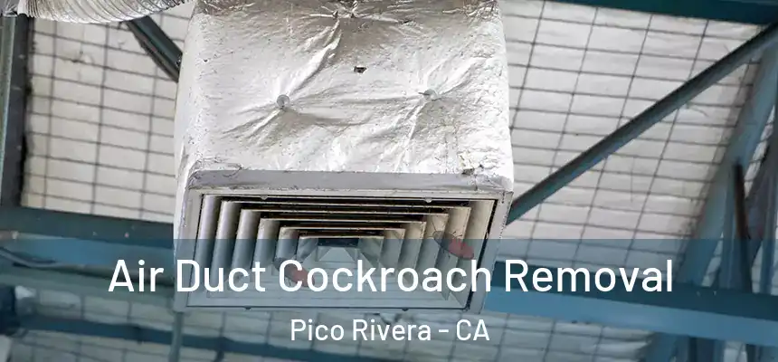  Air Duct Cockroach Removal Pico Rivera - CA