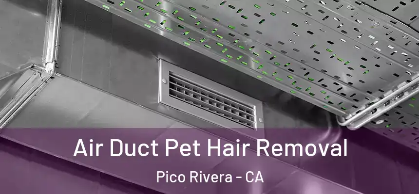  Air Duct Pet Hair Removal Pico Rivera - CA