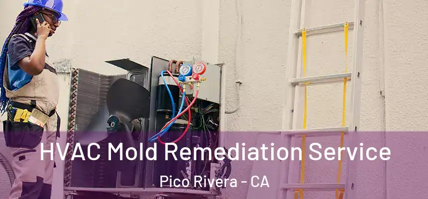 HVAC Mold Remediation Service Pico Rivera - CA
