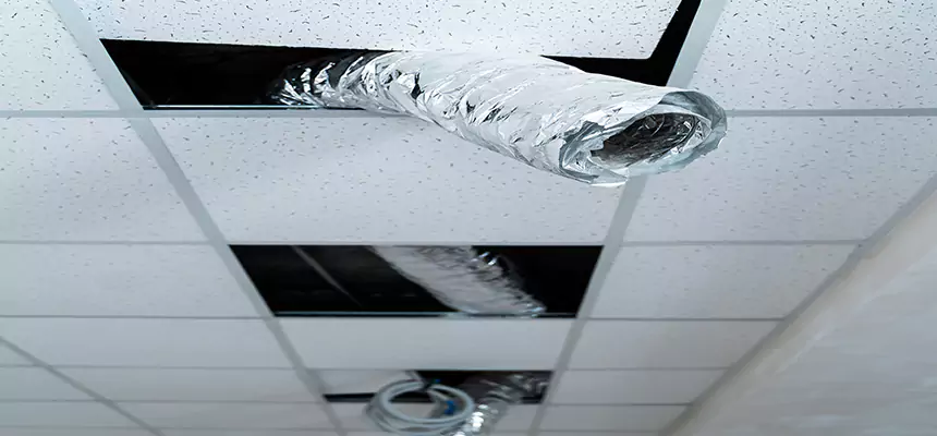 Our Air Duct Pet Hair Removal Services in Pico Rivera, CA