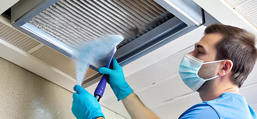 Proactive Dryer Vent & Auxiliary Duct Pollen Cleanup in Pico Rivera, CA
