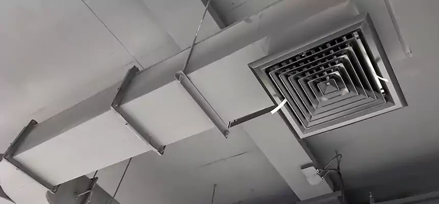 Restorative Allergy Relief Vent Cleaning – Coil, Blower & Housing Detail in Pico Rivera