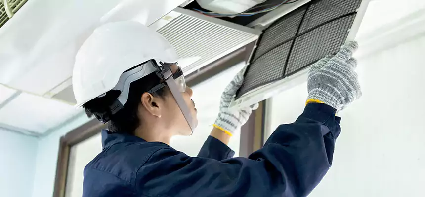 Our Mold & Mildew Removal from Air Ducts Services in Pico Rivera, CA