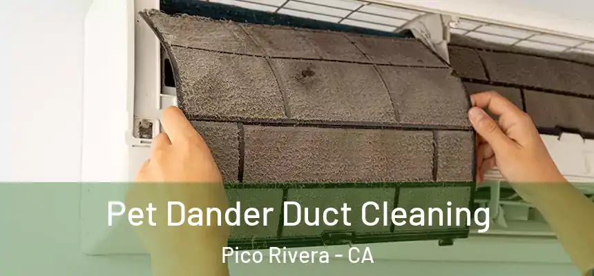  Pet Dander Duct Cleaning Pico Rivera - CA