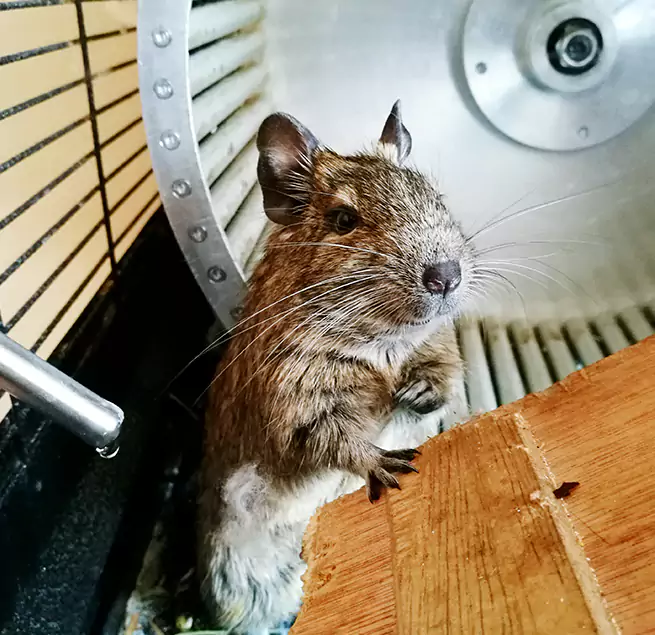 Why Homeowners & Businesses Trust Us Pico Rivera, CA