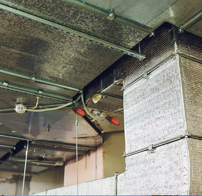 Why Homeowners & Businesses Trust Us Pico Rivera, CA?