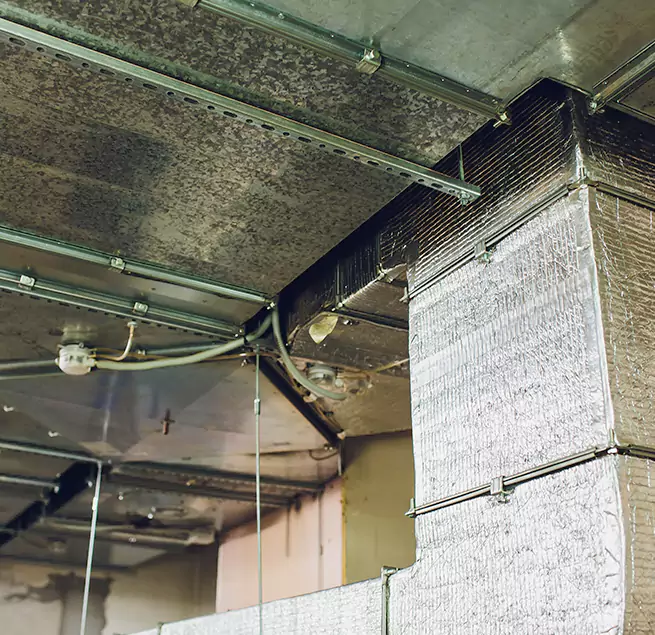 Why Homeowners & Businesses Trust Us in Pico Rivera, CA?